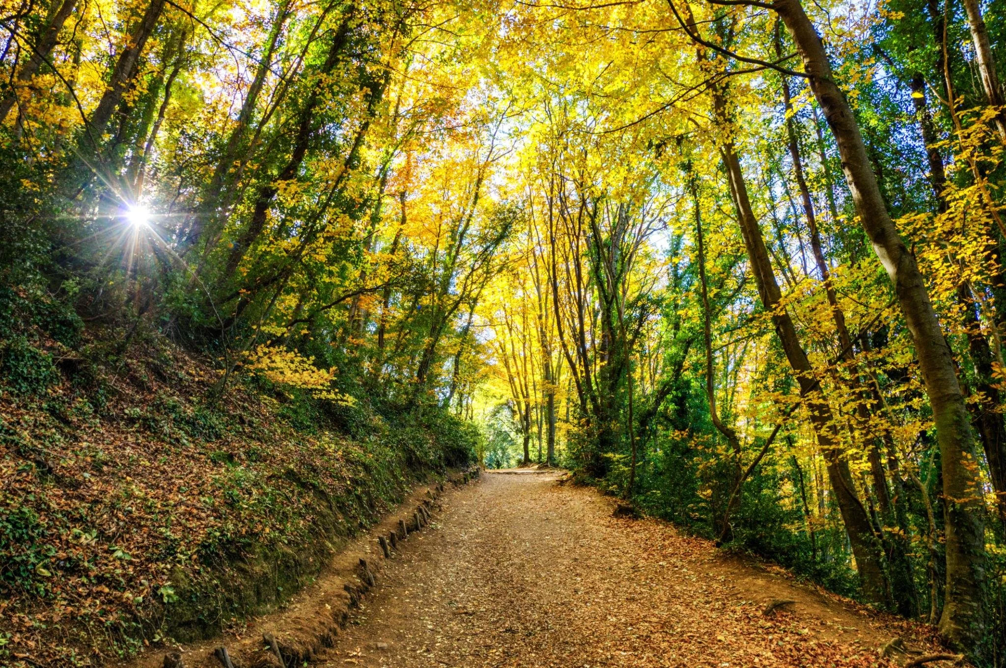 Where to See Autumn Colors in Spain: Beautiful Places for a Fall Getaway