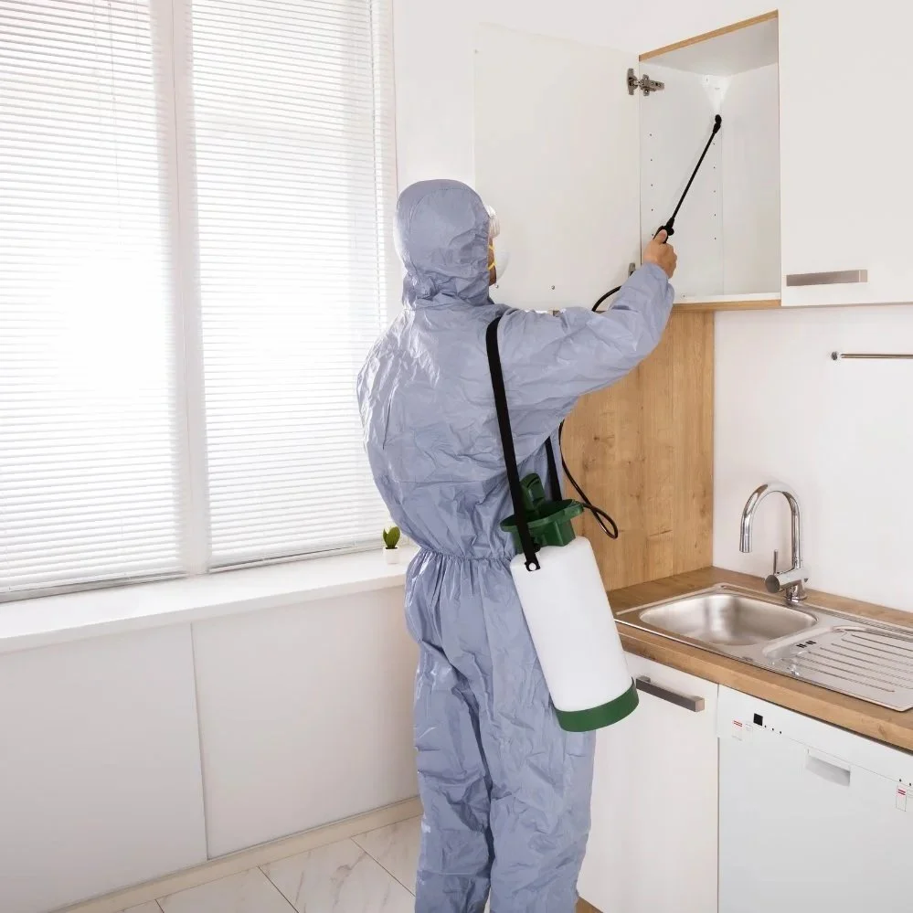 Professional Pest Control Services in Boca Raton: The Key to a Pest-Free Home