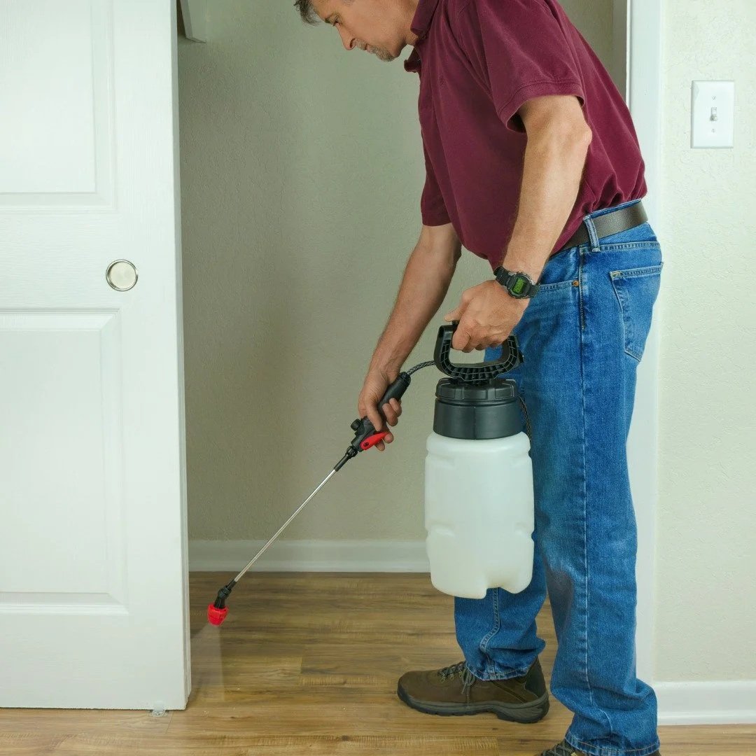 The Dangers of DIY Pest Control