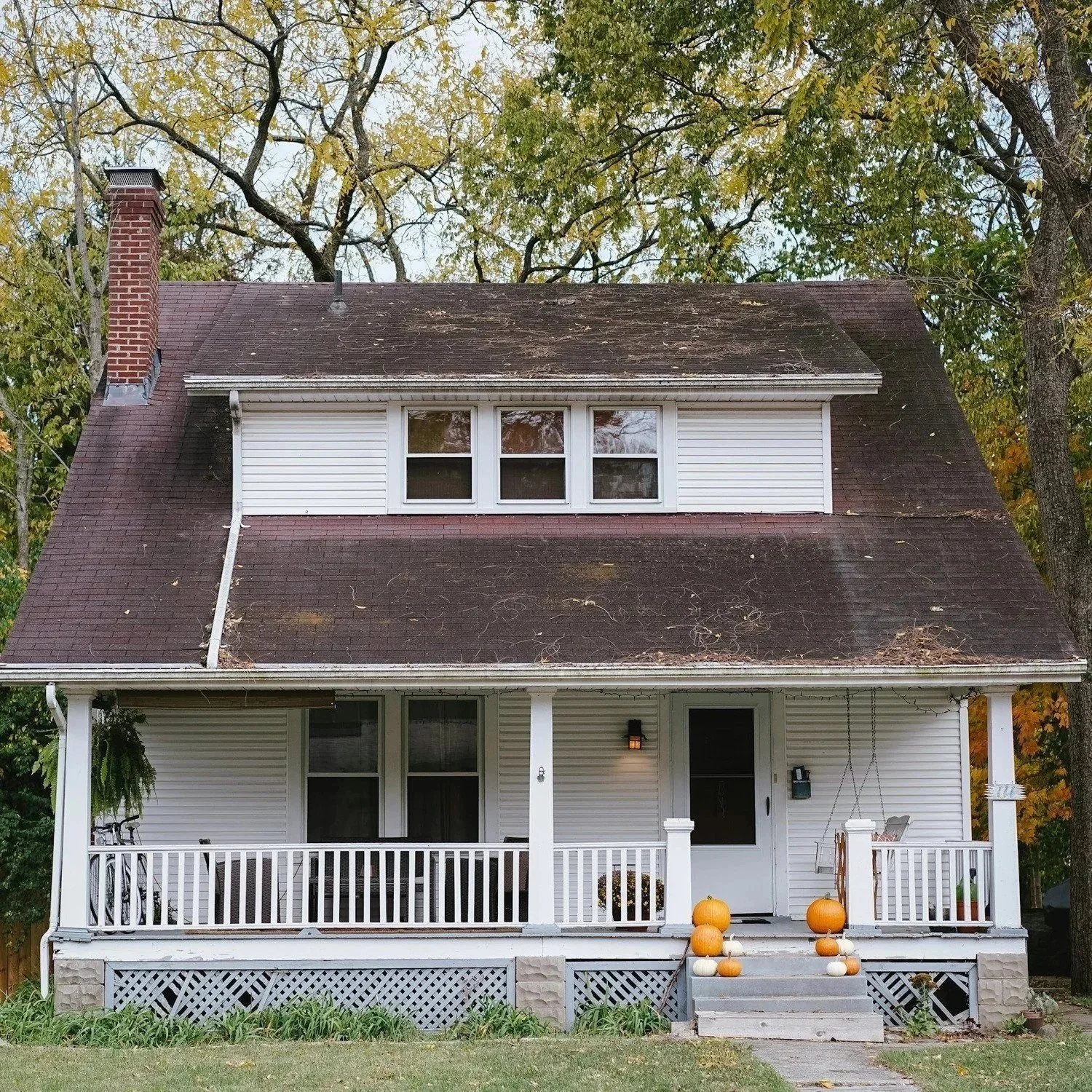 Understanding the Importance of Residential Pest Control