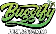 Buggify Pest Solutions