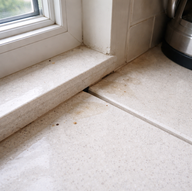 dried ant trail on kitchen counter beside window grout