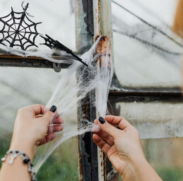 gloved technician inspecting spider webs along home foundation