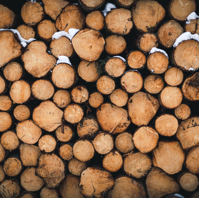 stacked firewood beside cluttered shed corner
