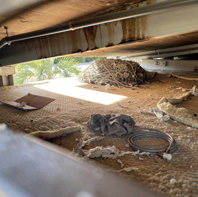 Under a wooden beam a pile of dry twigs, a gray rag, coiled hose, cardboard and insulation scraps lie on a fabric surface.