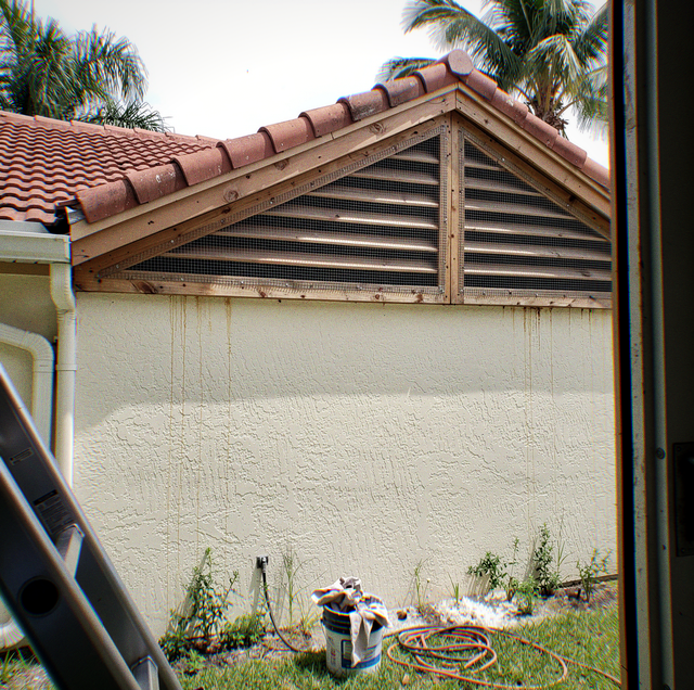gabled roofline vent with gnawed metal screen intact