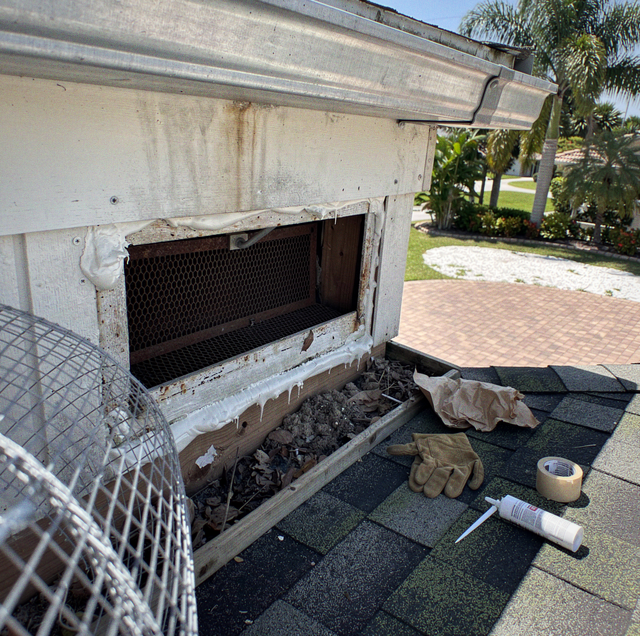 An open RV exterior storage compartment with work gloves, tape, and debris visible, with a driveway and palm trees in the bac