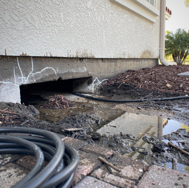 rain-flooded burrow with rat emerging near foundation