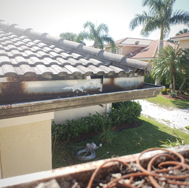 new roof ridge line with rodent hole at eave gap
