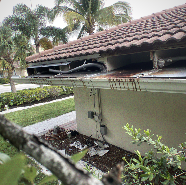 barrel tile roof gap sheltering roof rat nest