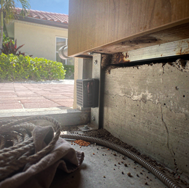 pest control technician inspecting rodent trap placement