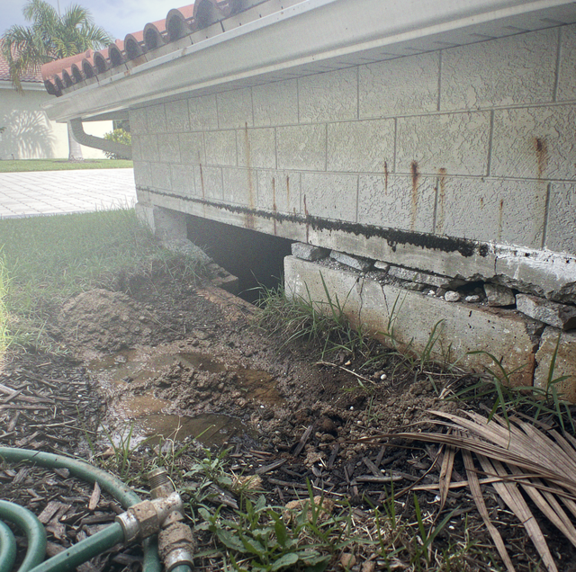 block home roof soffit gap daytime rat inspection