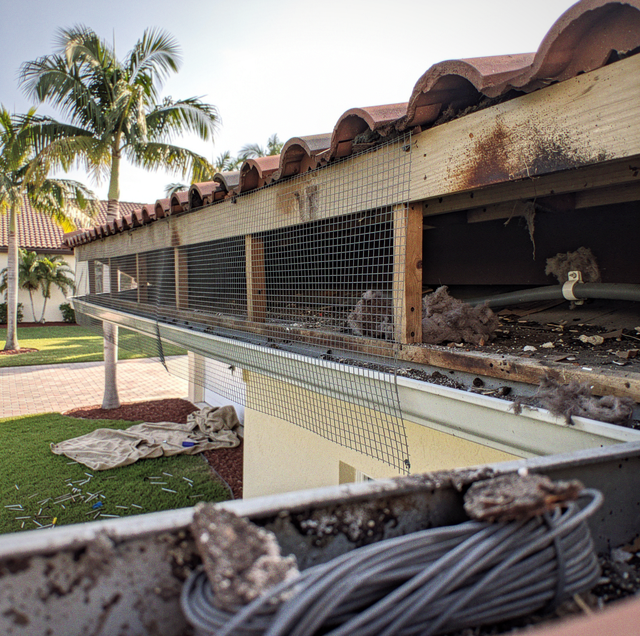 Technician sealing roofline gap with caulk gun