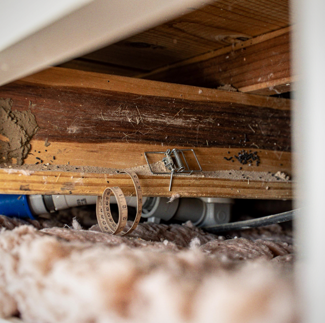Wooden beams and metal ductwork in an attic space with insulation material visible below.
