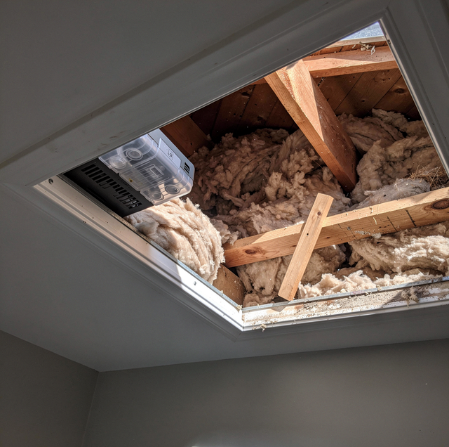 rat poison bait box beside attic insulation