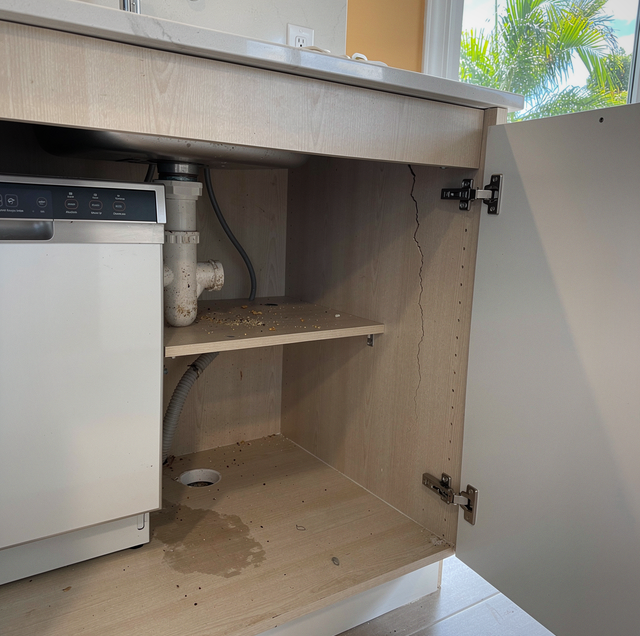 Open cabinet under sink showing interior with shelf, pipes, and dishwasher beside it.