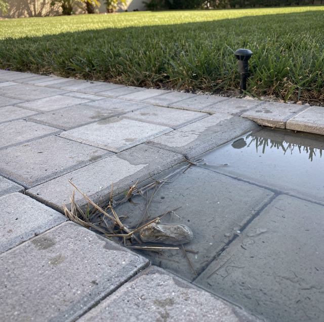 lawn sprinkler head misting over dry grass beds
