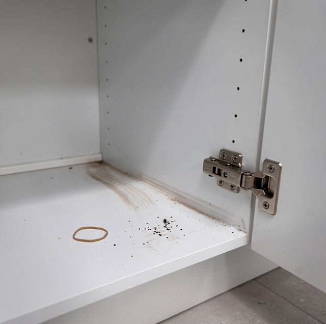 kitchen cabinet smear marks and roach droppings close up