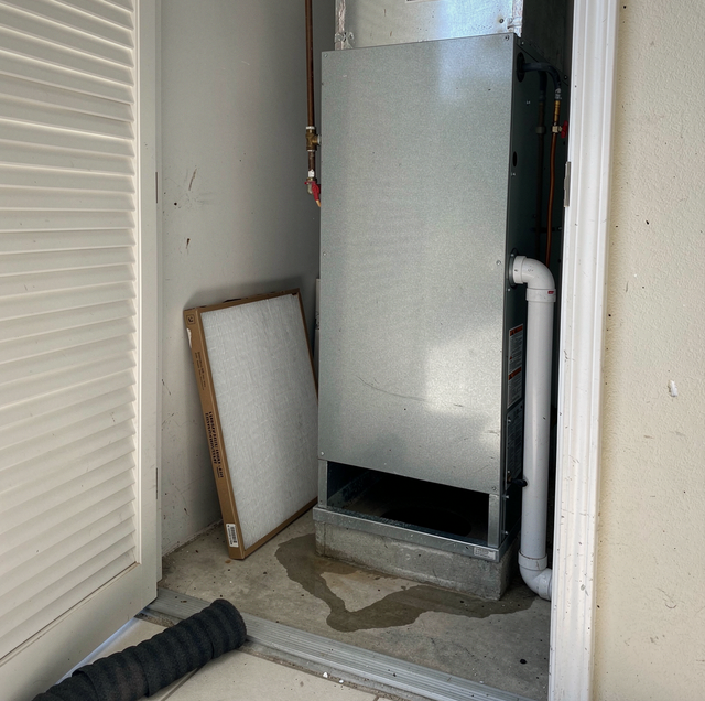 dark AC closet roaches scattering across damp concrete floor