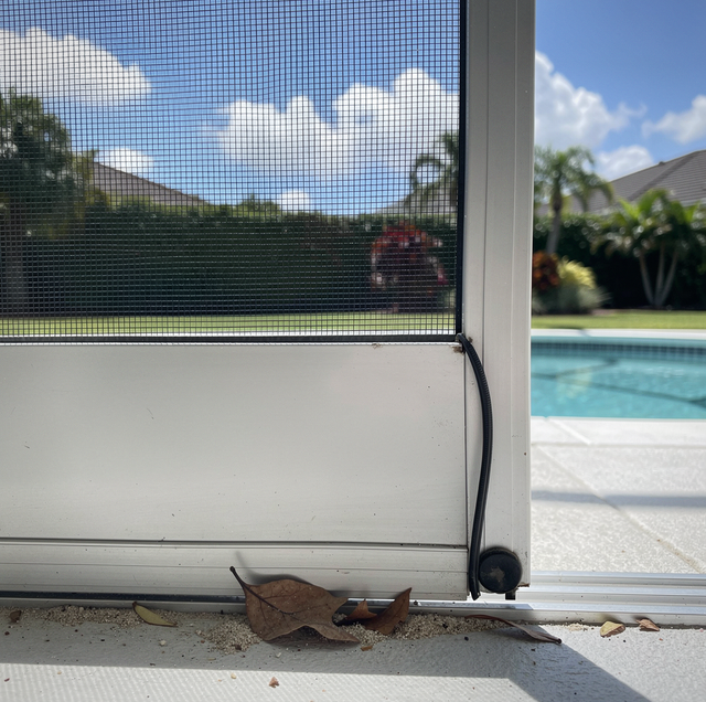 screened pool cage with torn wire and mosquito at entry
