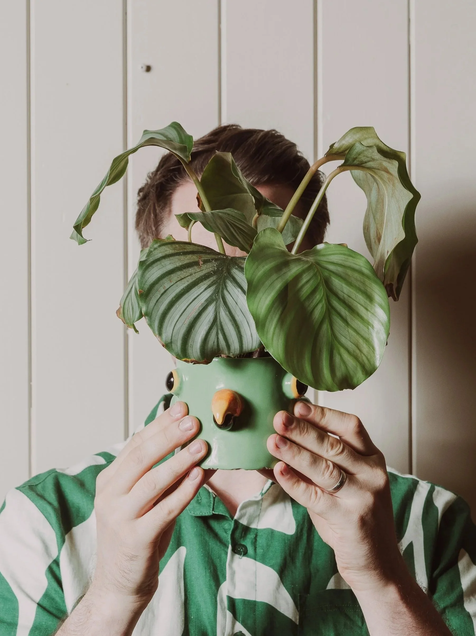 Person holding a green ceramic planter shaped like a parrot with large green leaves, standing against a wooden panel wall.