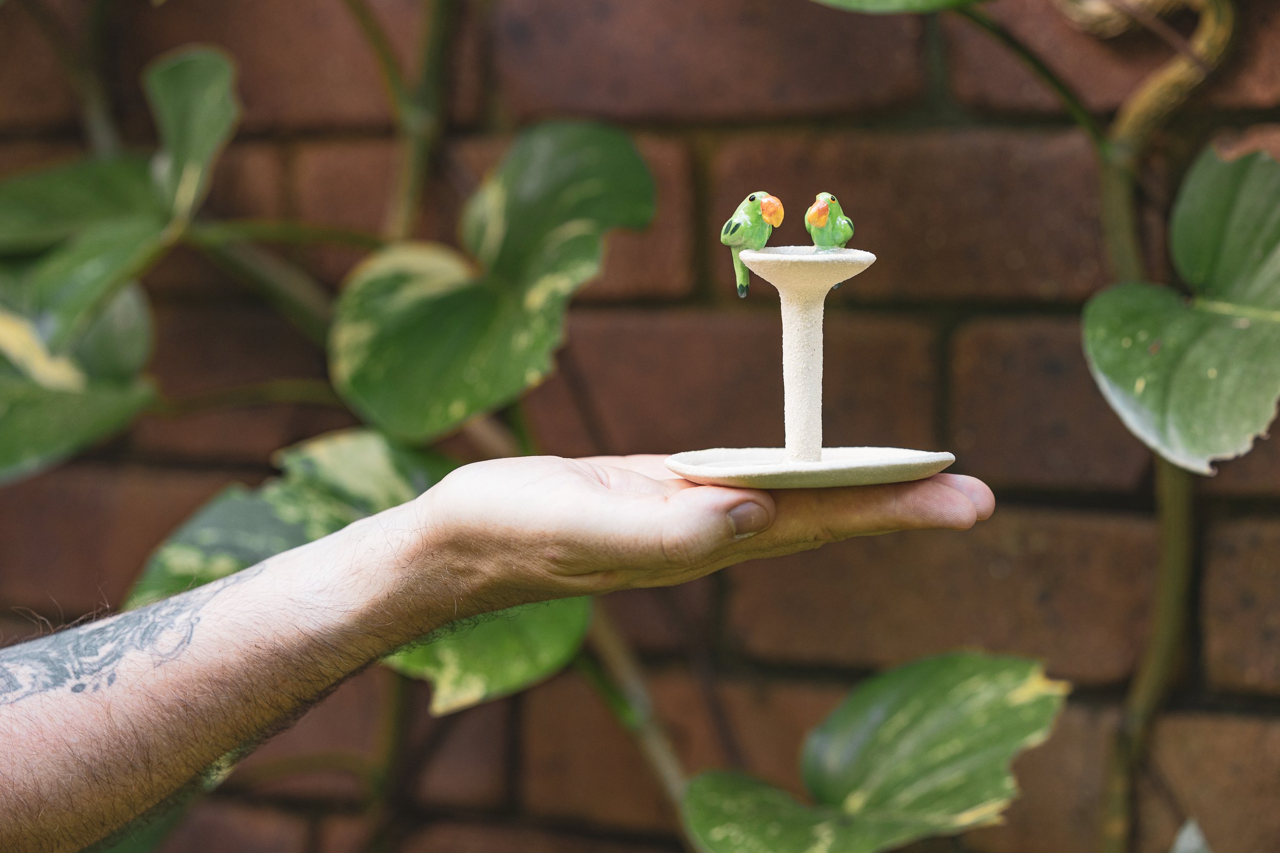 Green Bird Ceramics Parakeet Bird Bath Trinket Dish