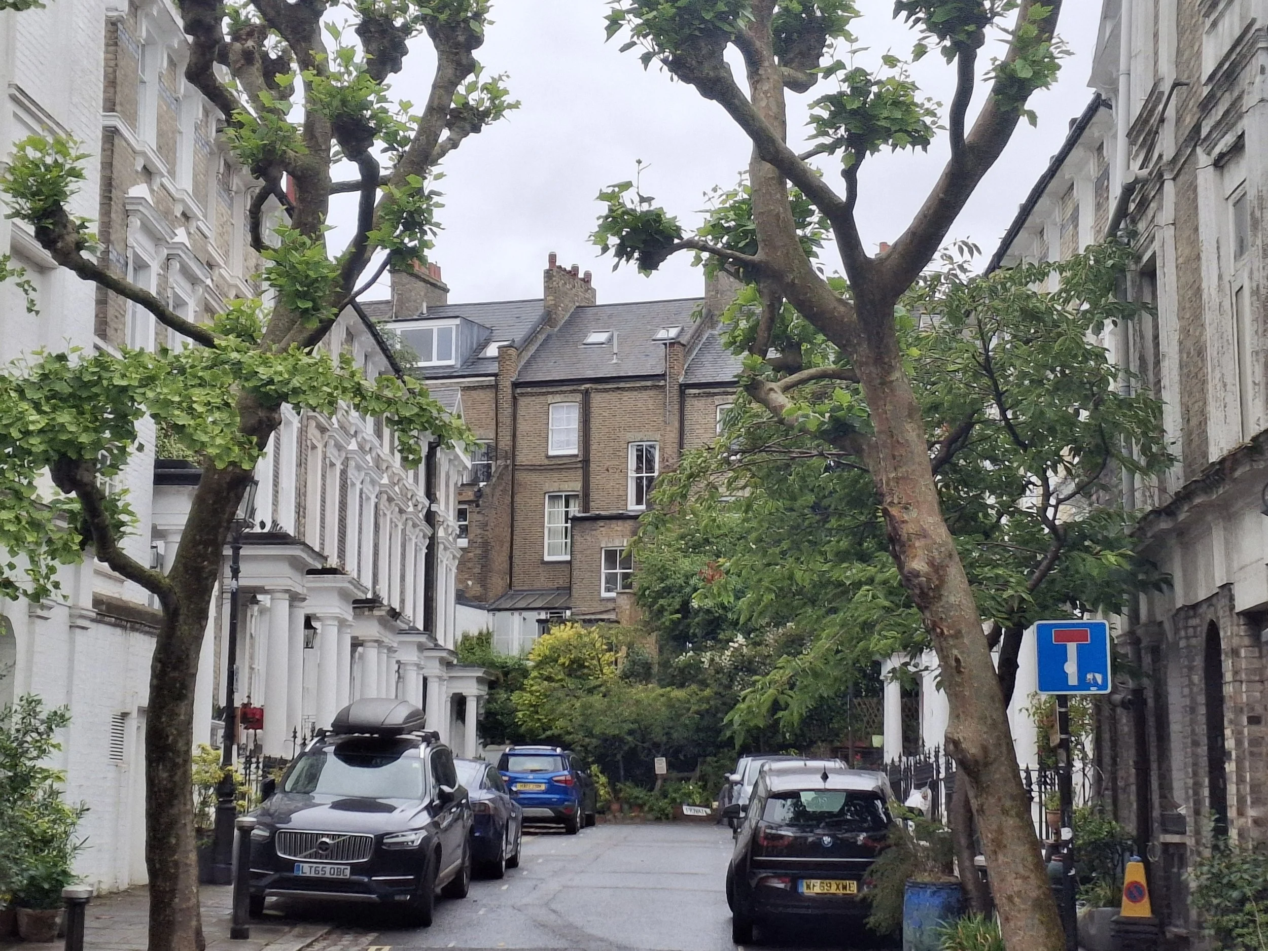 A narrow city street with parked cars on both sides and several trees lining the sidewalk. Multi-story buildings with residential architecture and a cloudy sky in the background.