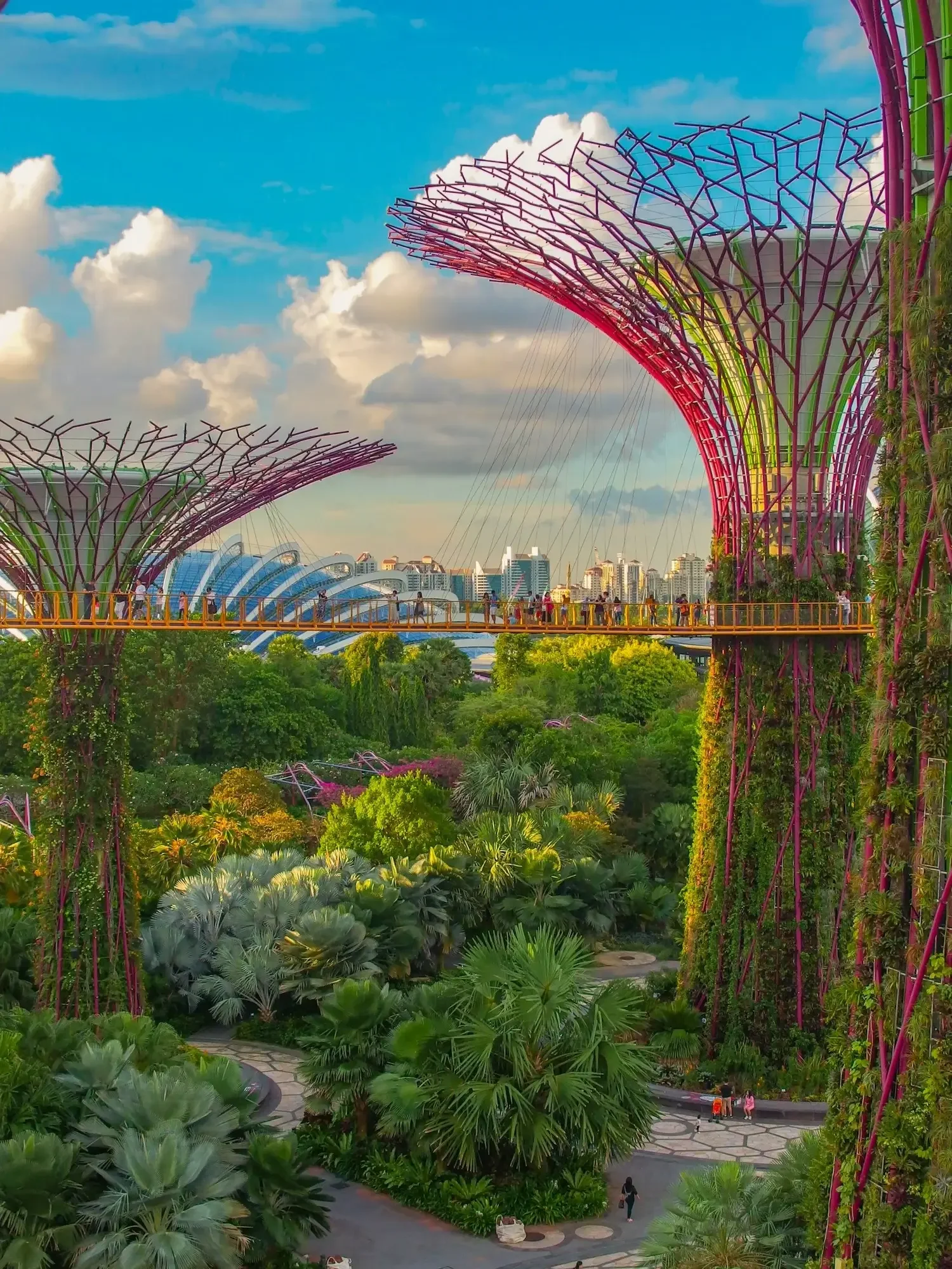 A view of Gardens by the Bay in Singapore with futuristic Supertree Grove structures, a skywalk, lush greenery, and a city skyline in the background during daytime.