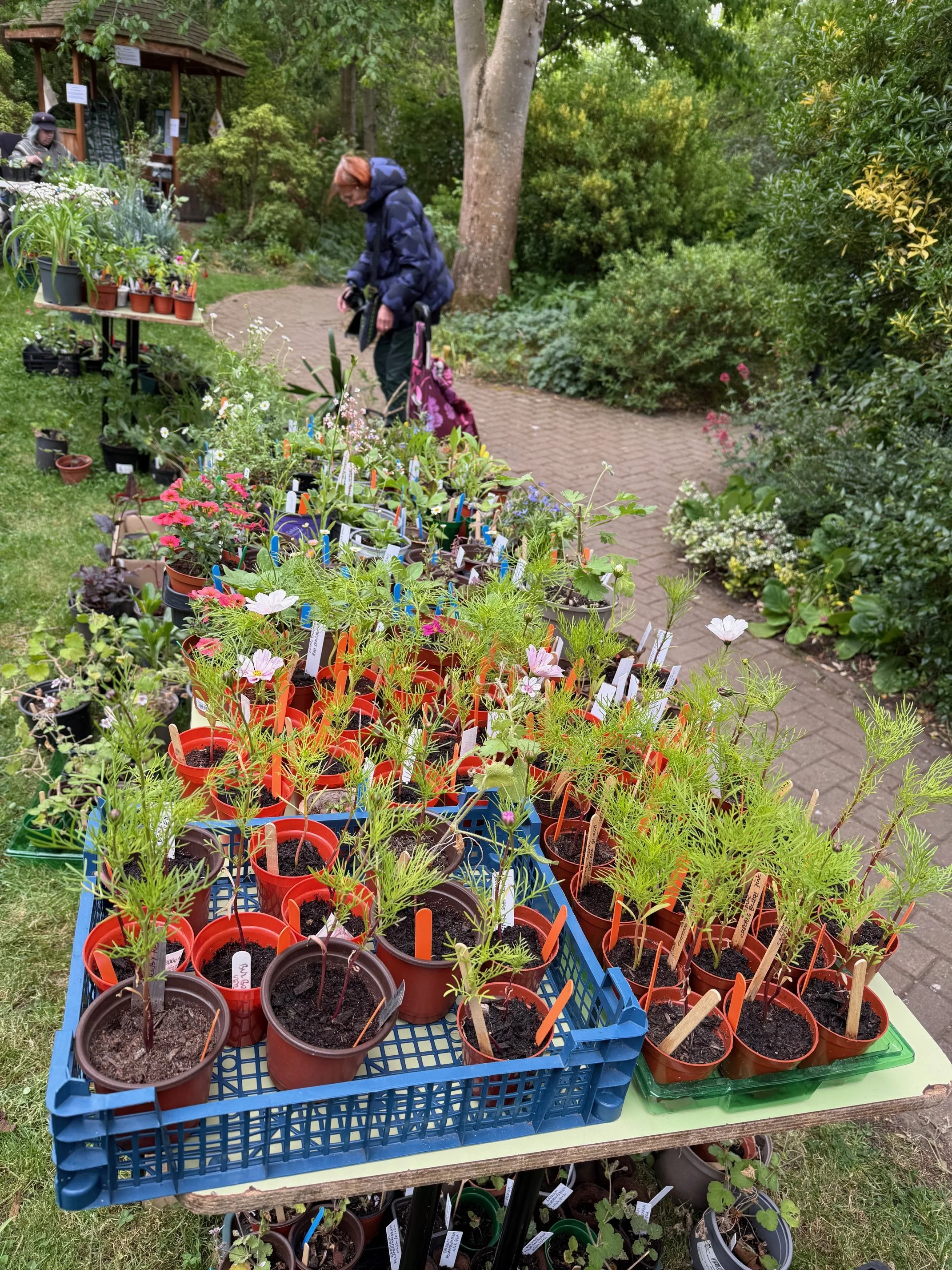 Annual Plant Sale