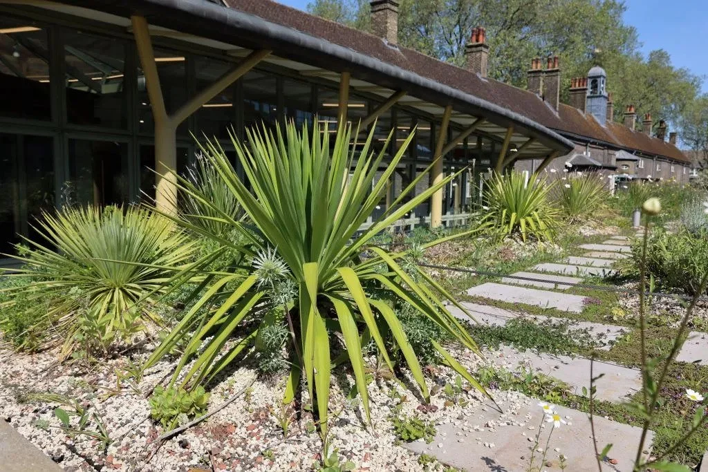 Members-only Guided Tour of Museum of The Home