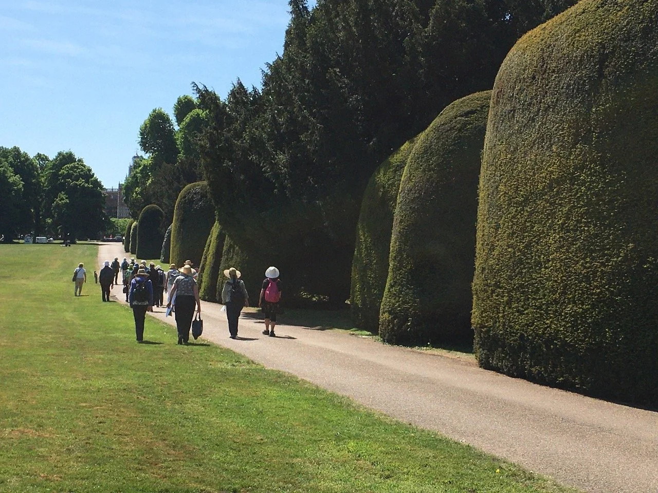 A group of people walking on a paved path alongside large, sculpted green trees in an open park on a sunny day.