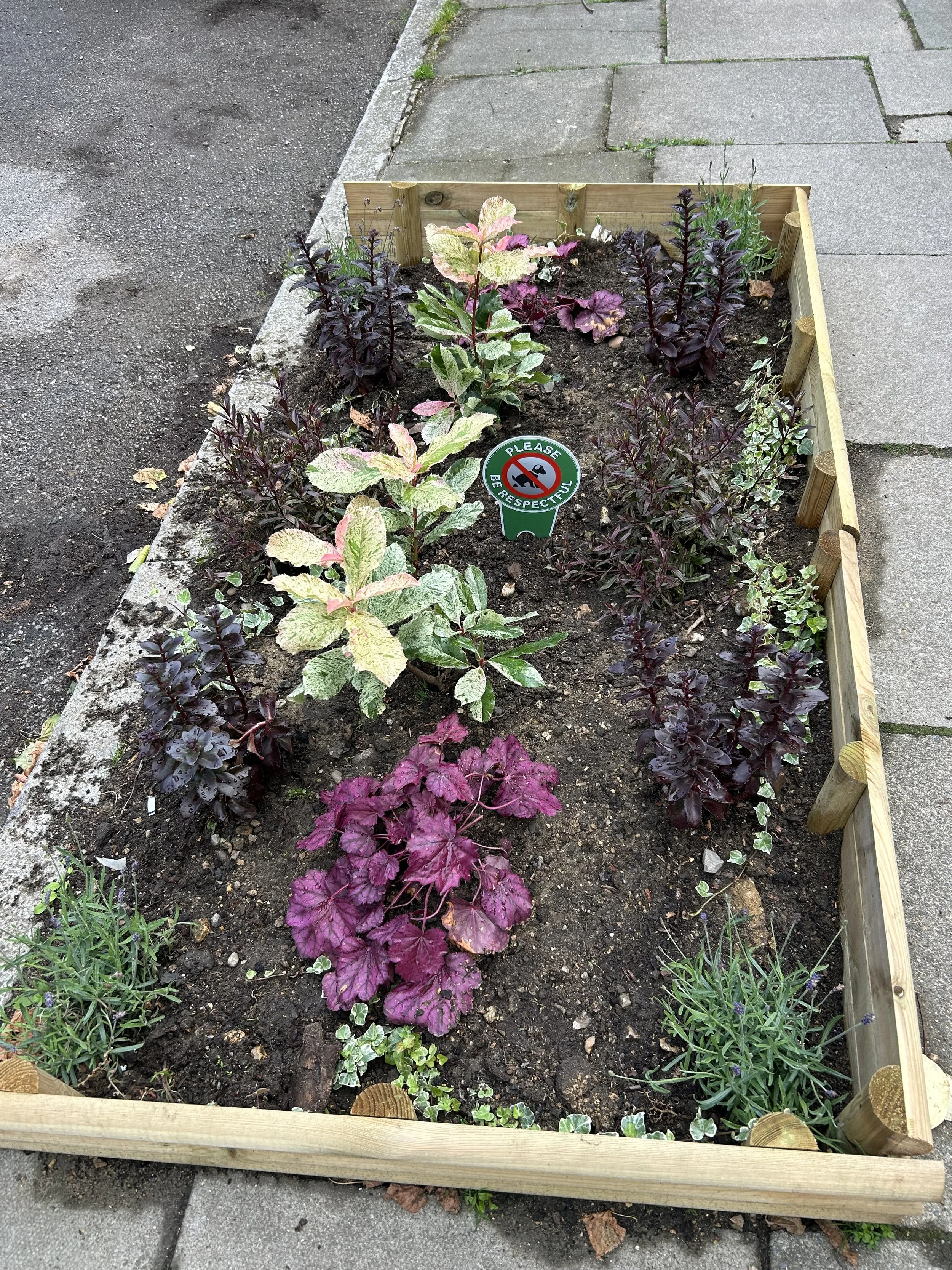 A rectangular wooden planter box with soil, containing various plants with colorful foliage, and a sign that reads "Please Be Respectful" with an illustration of a dog crossed out.