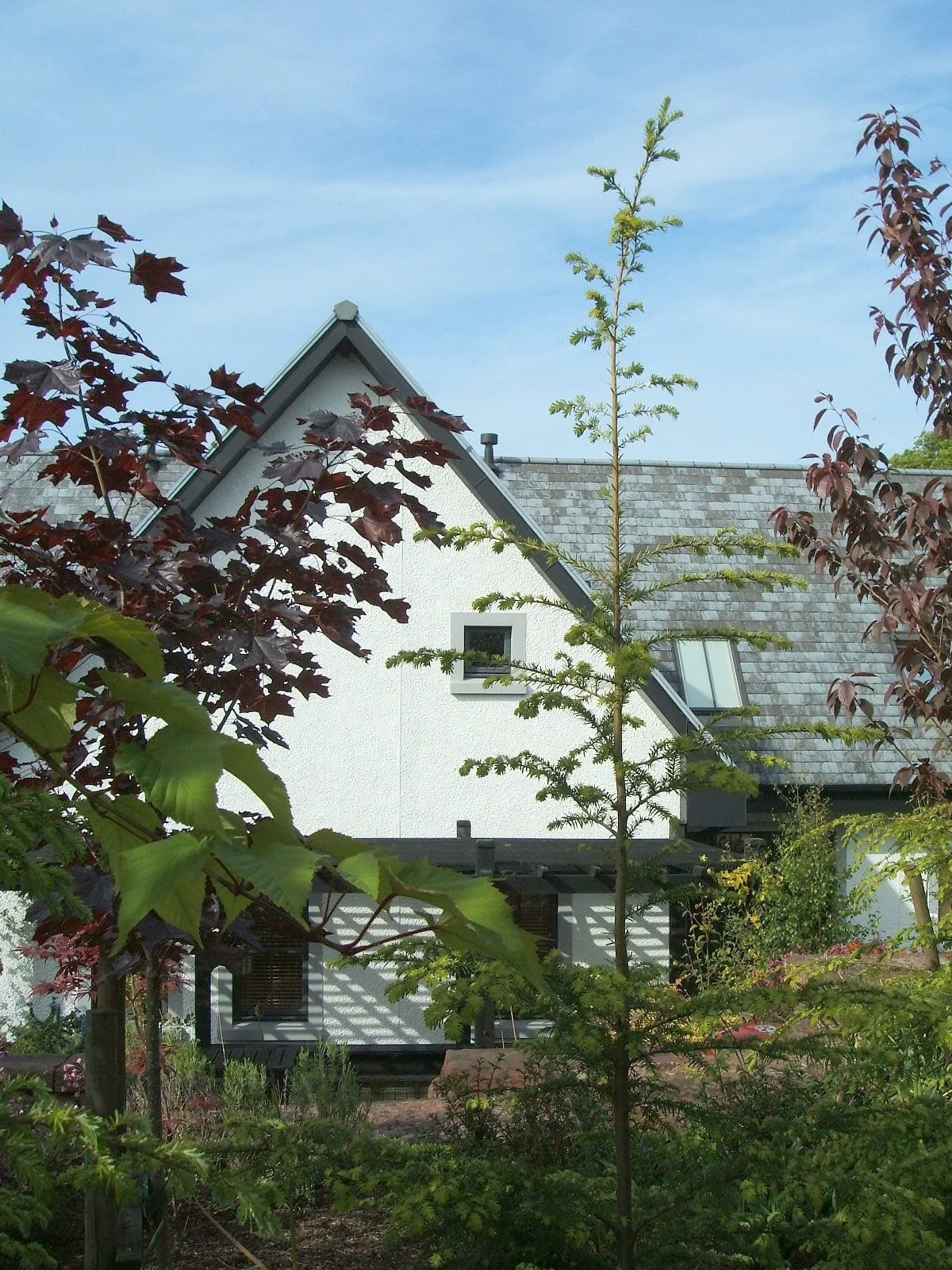 1417-loch lomond house-5.jpg