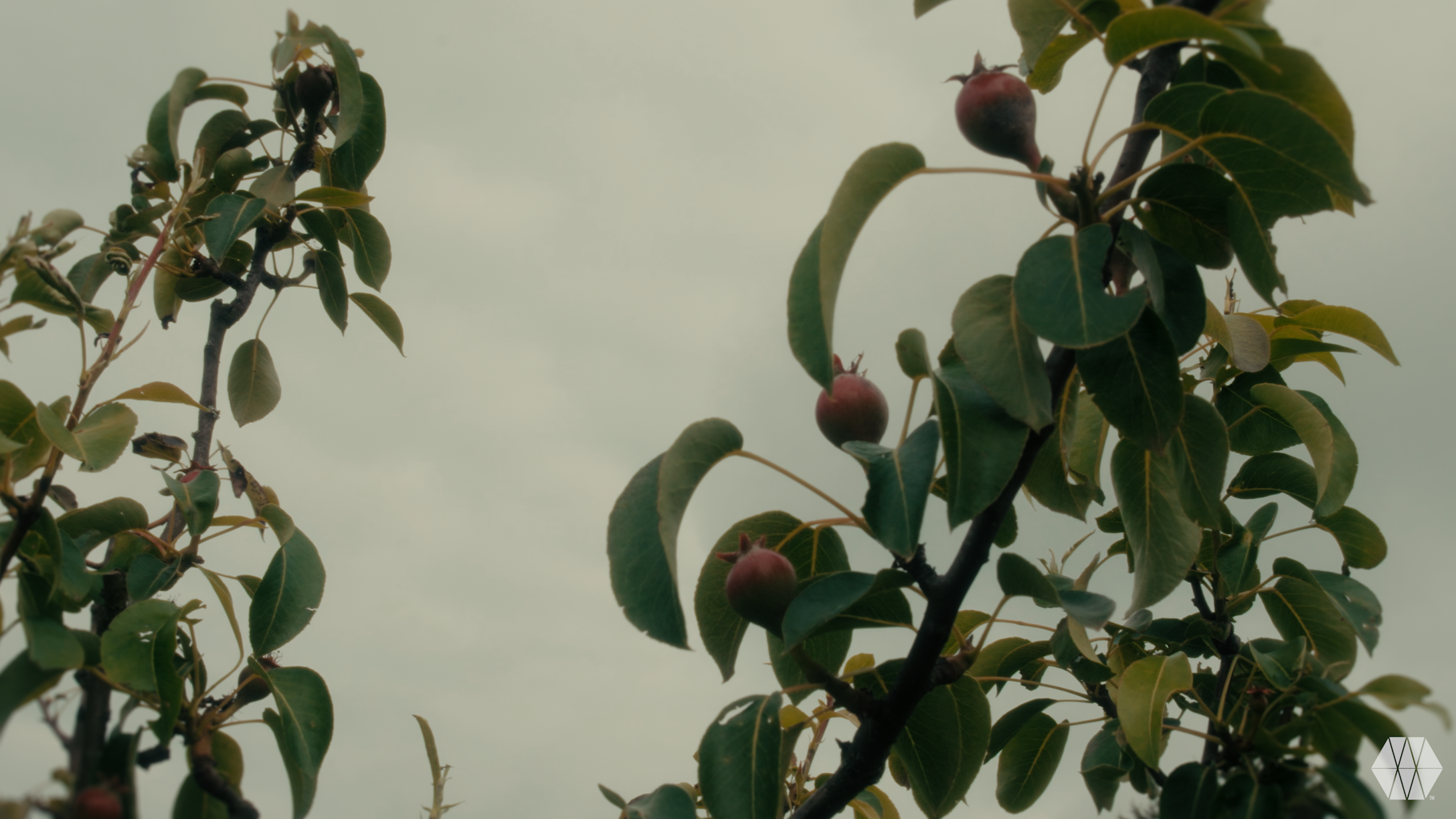 Frame6.png