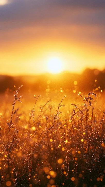 GOLDEN SUNRISE - (Our Signature Package)  3 x B&B Overnight Stay - 18 x Sessions Intense EMDR Therapy - Over 3 Days