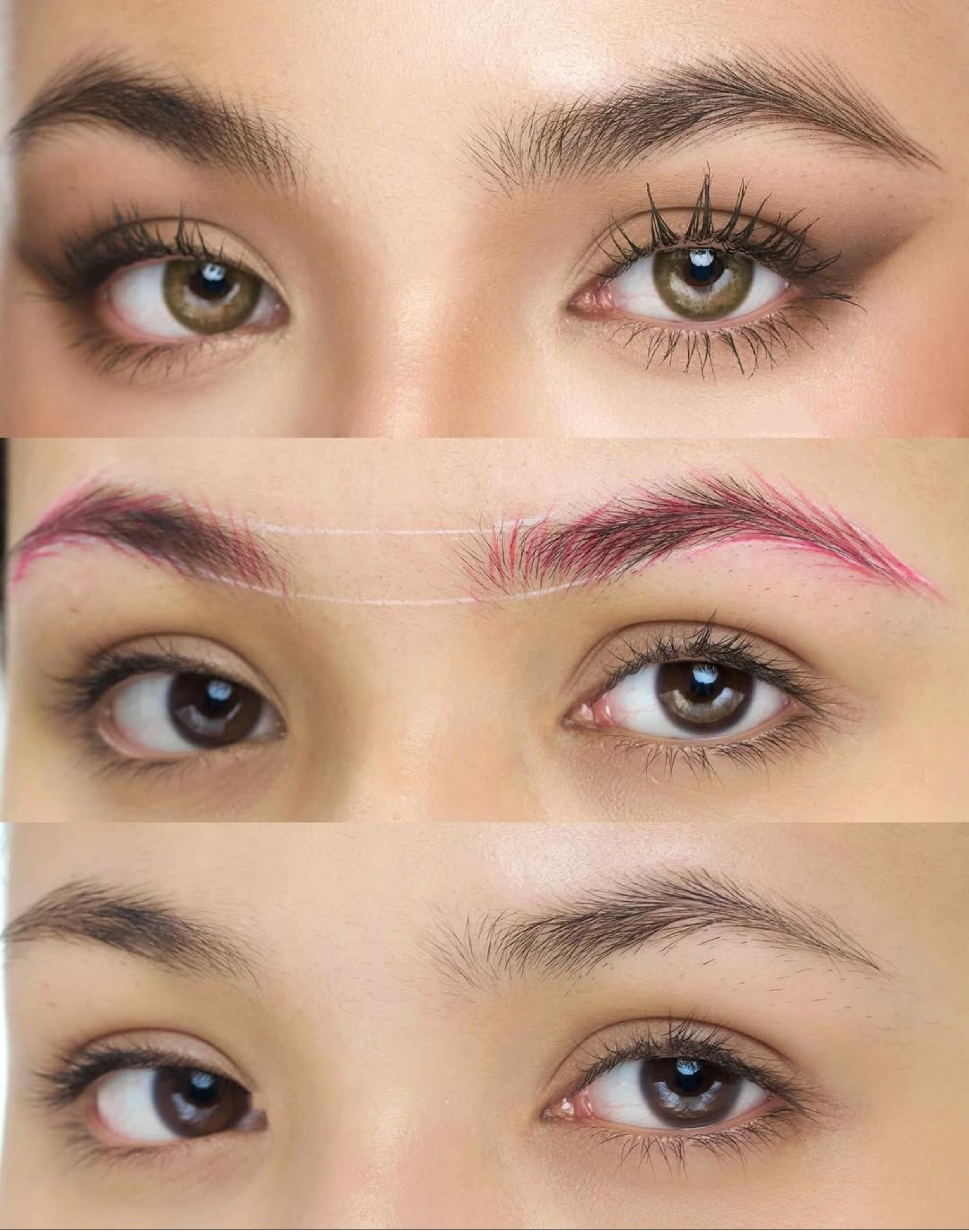 Nahaufnahme von verschiedenen Augen mit unterschiedlichen Augenbrauen und Wimpern, die die Vielfalt von Augenmerkmalen zeigen.