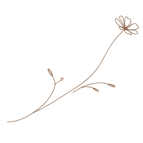 Skizze einer stilisierten, einfarbigen Blumenranke mit mehreren kleinen Blüten und Blättern auf dünnem, geschwungenem Stiel.