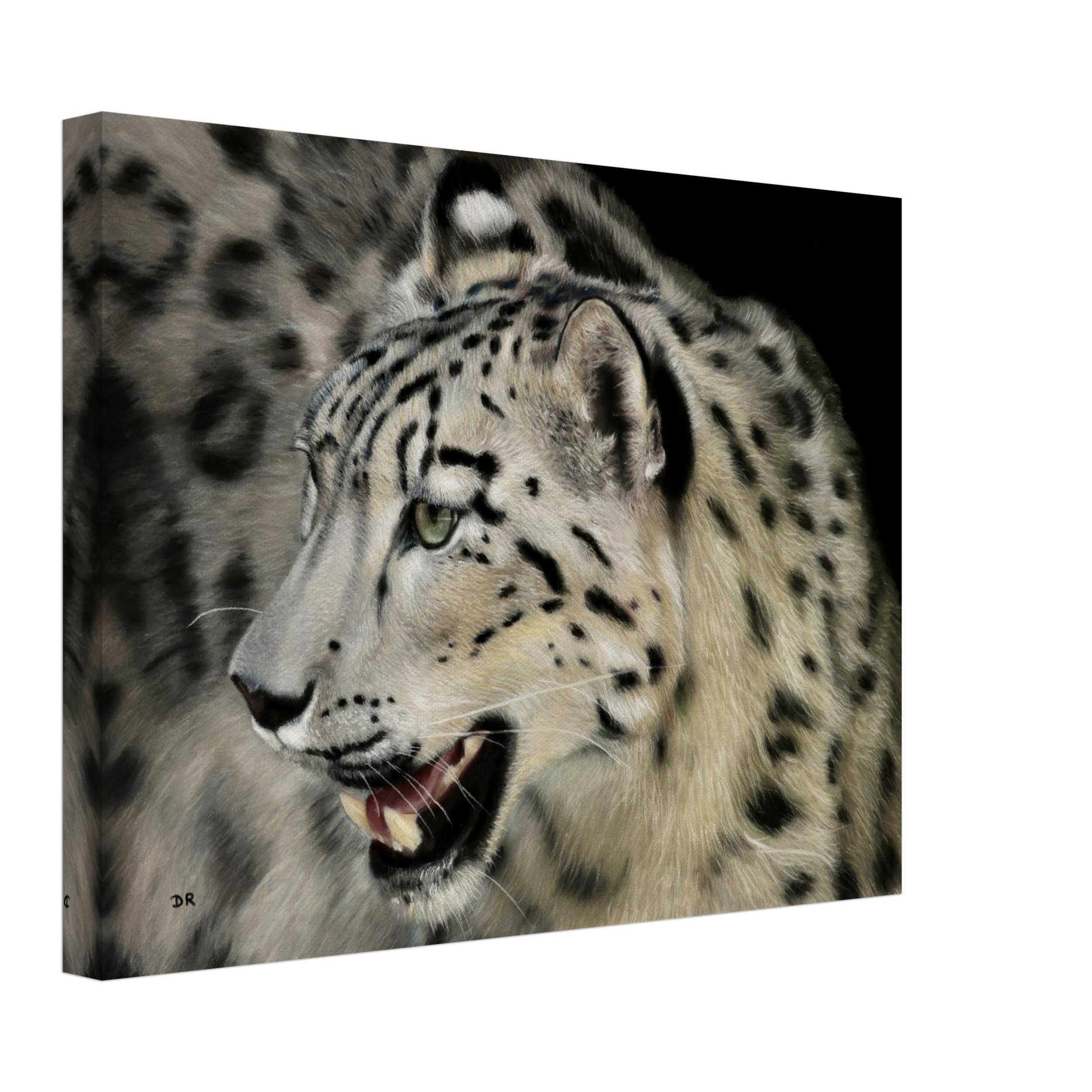 Snow Leopard I / St Martin  - Canvas