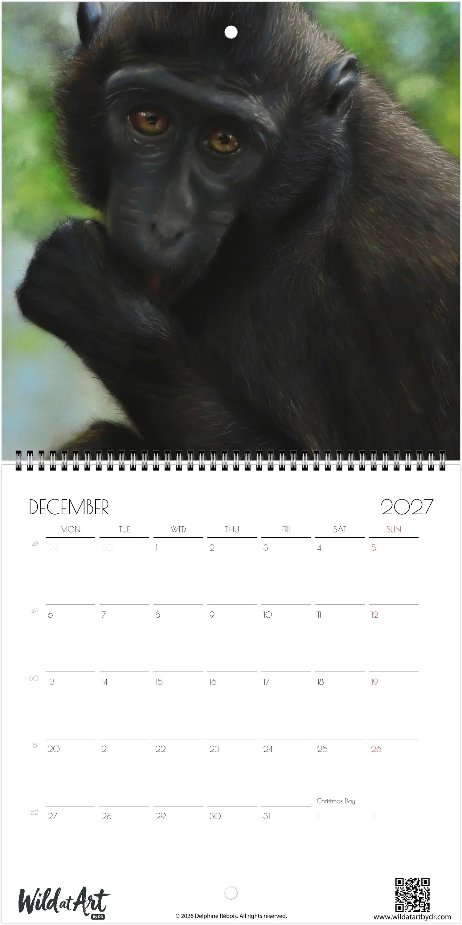 month-12.jpeg