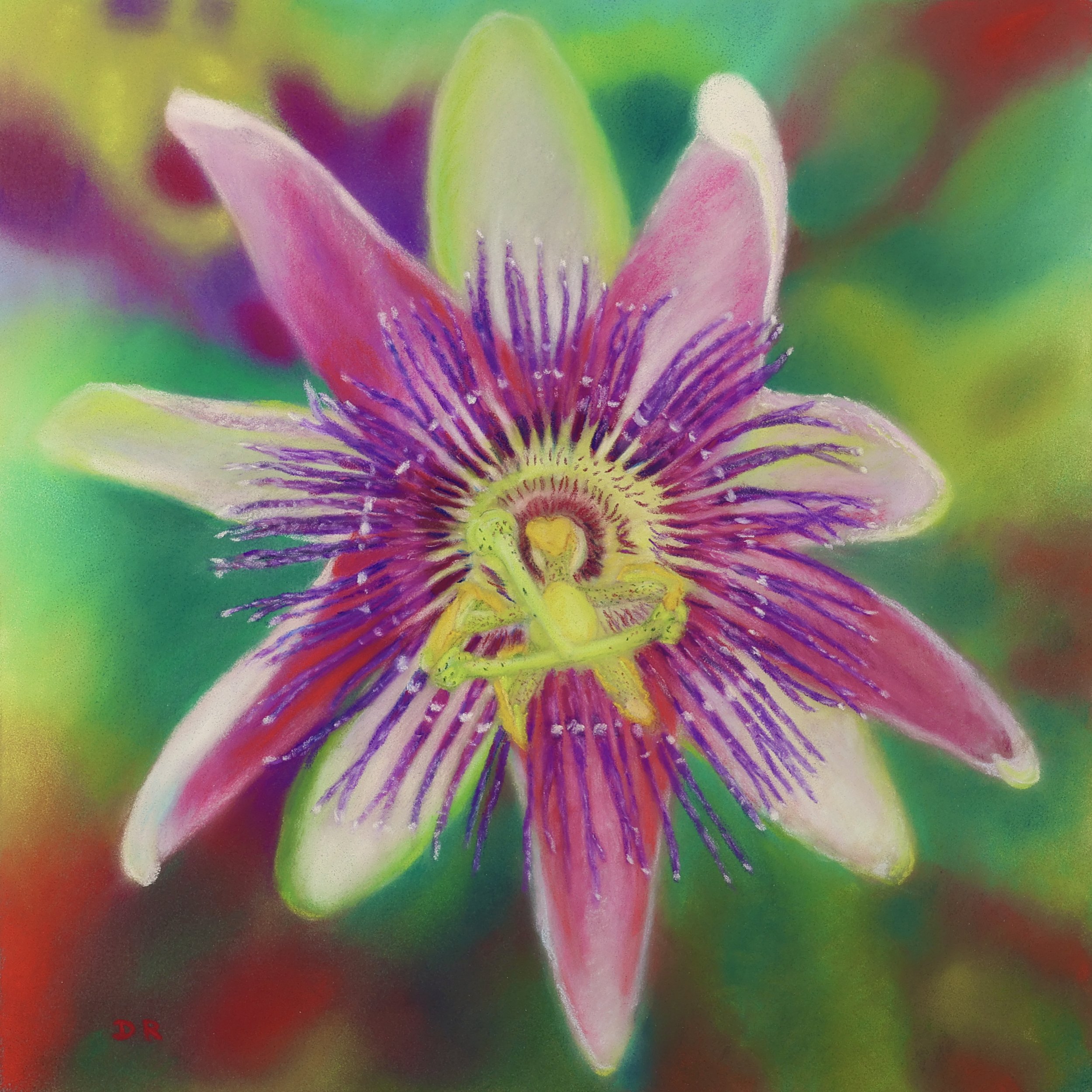 Passion Flower / Mallorca - 19 x 19 cm
