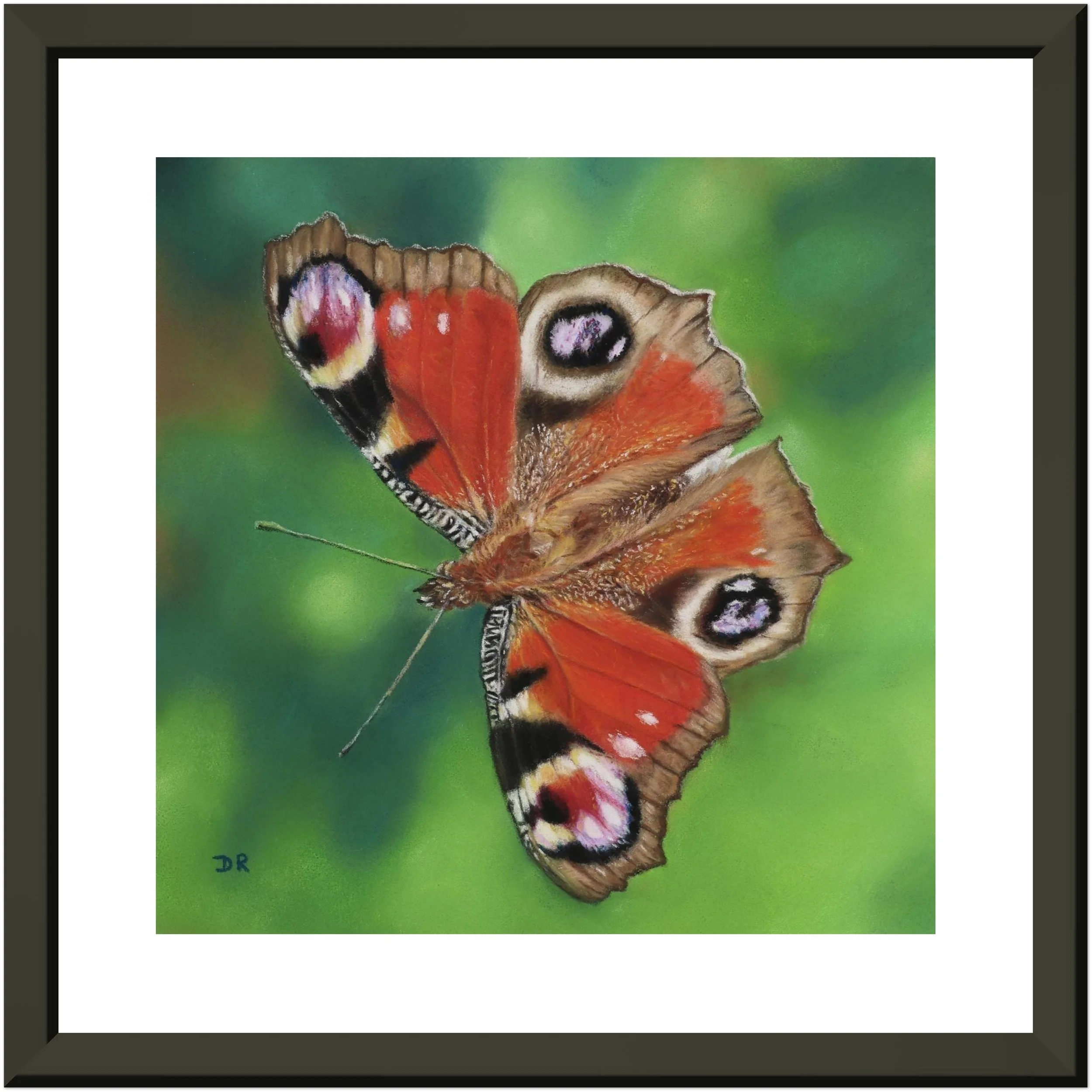 Peacock Butterfly / Le Mareynat - Fine Art Framed Poster