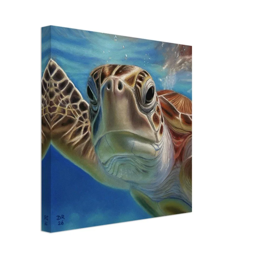 Canvas print of a close-up soft pastel painting of a sea turtle underwater, showing detailed features of the turtle's face, head, and front flipper, with a blue ocean background.
