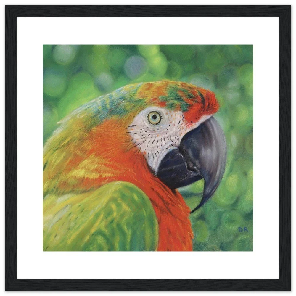 Framed fine art print of a soft pastel painting of a colorful parrot with green, orange, and yellow feathers, set against a blurred green background.