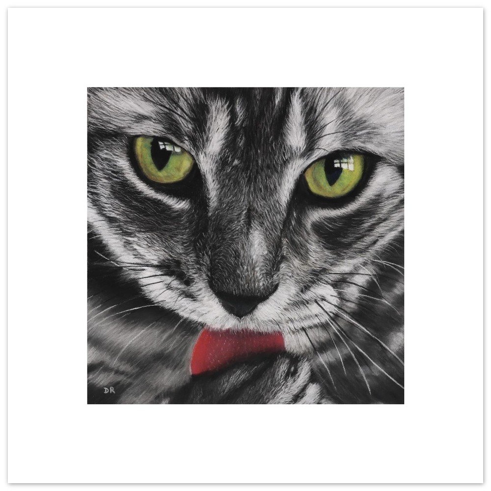 A Cat’s Gaze - Fine Art Poster