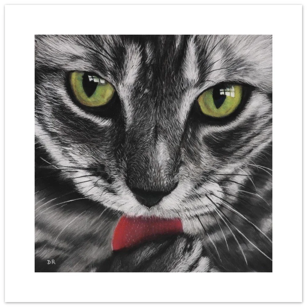 A Cat’s Gaze - Fine Art Poster