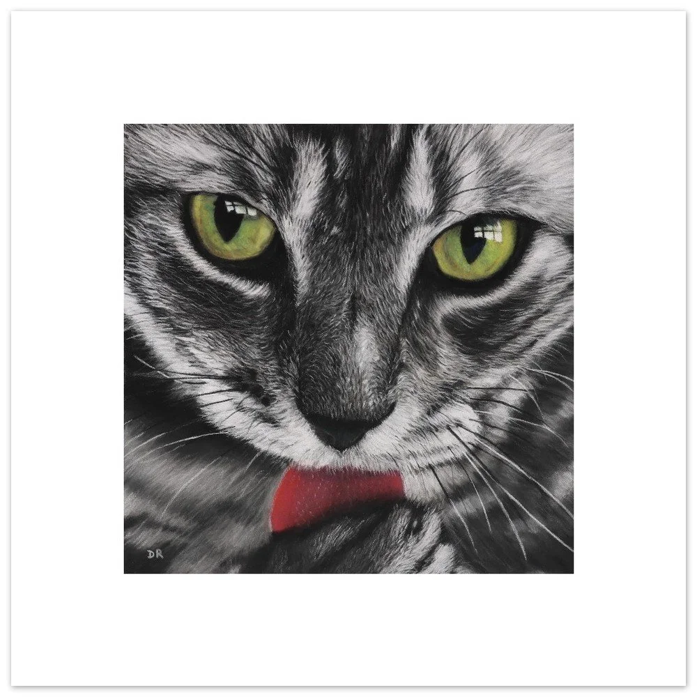A Cat’s Gaze - Fine Art Poster