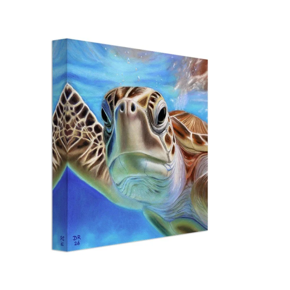 Sea Turtle Underwater - Canvas 20 x 20 cm