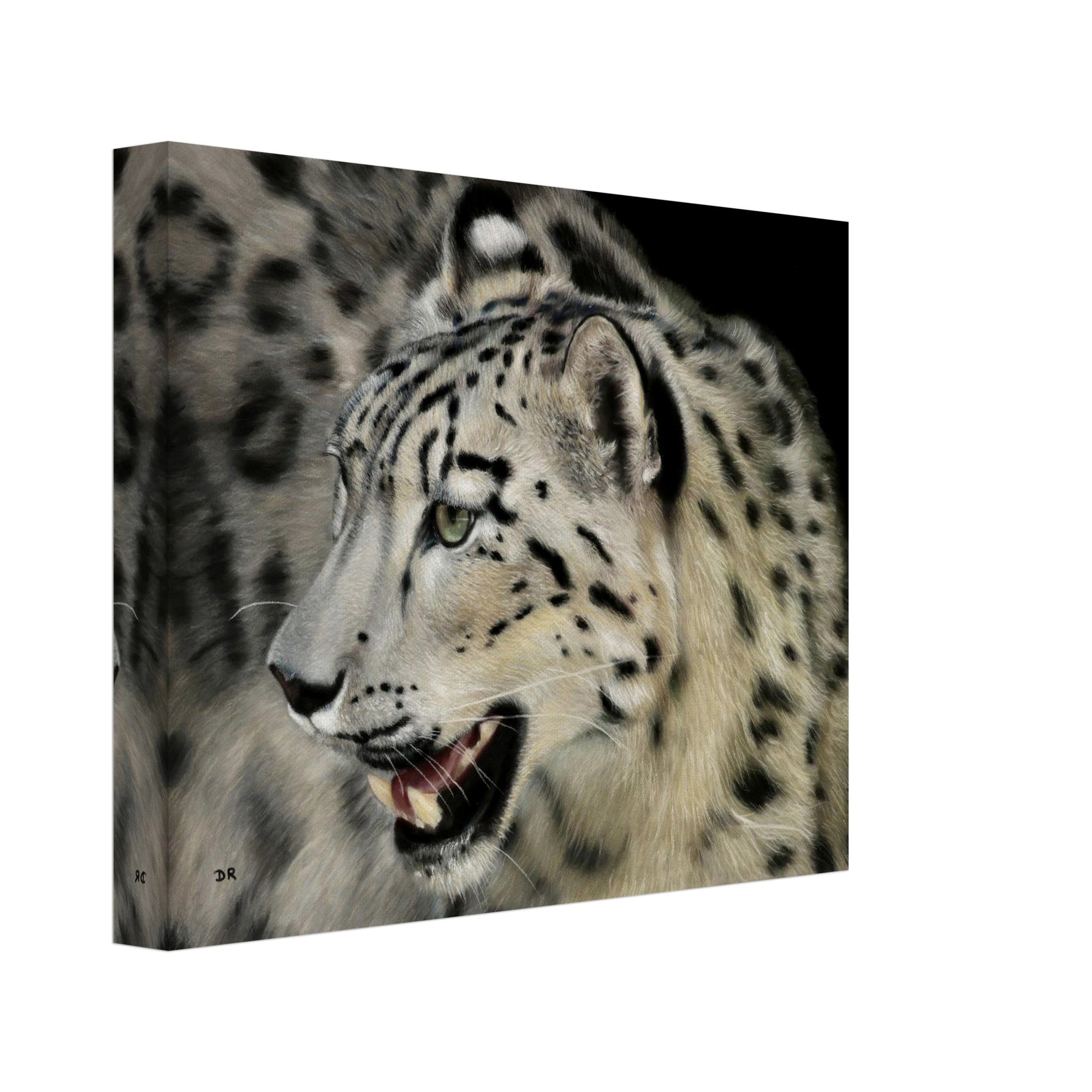 Snow Leopard I / St Martin  - Canvas
