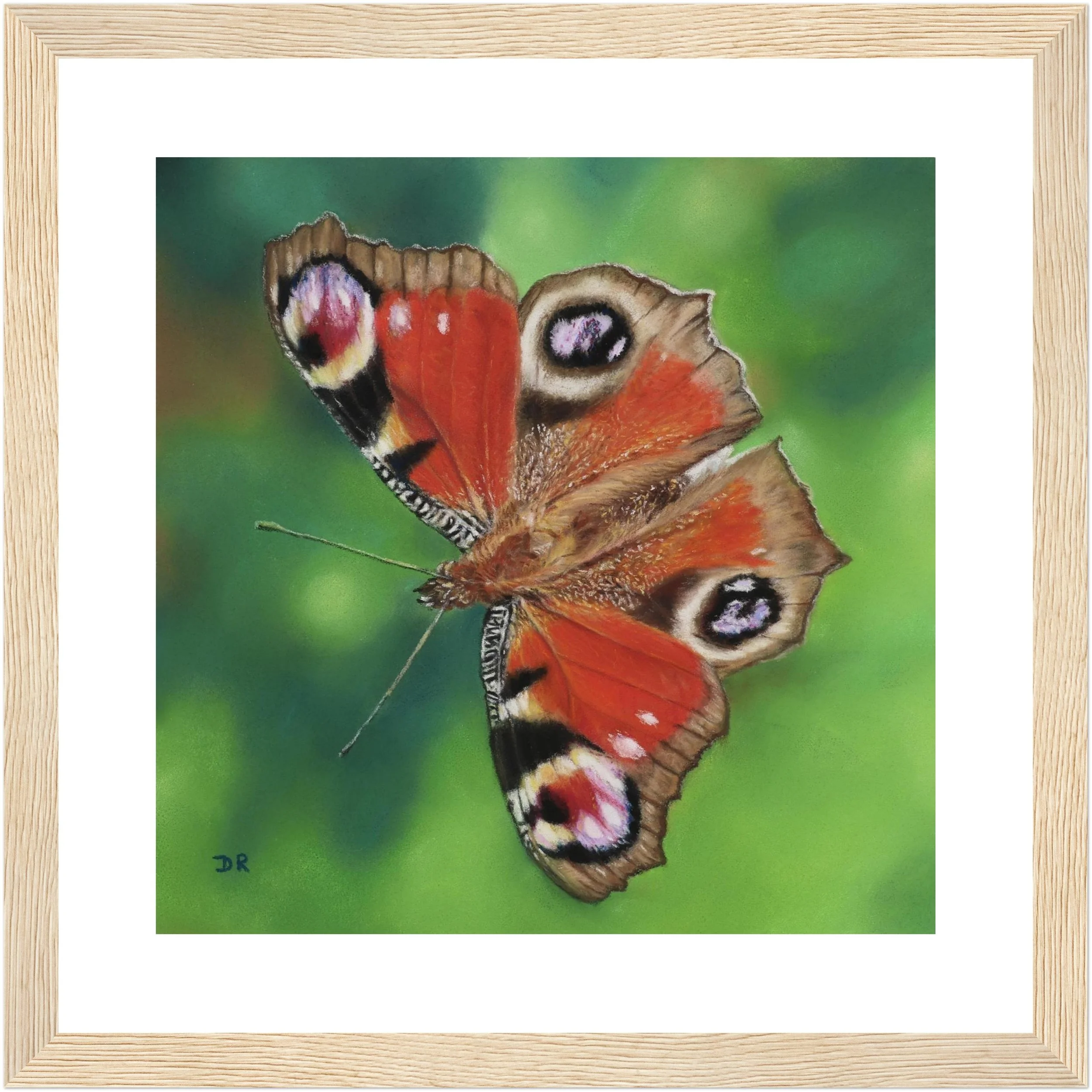 Peacock Butterfly / Le Mareynat - Fine Art Framed Poster