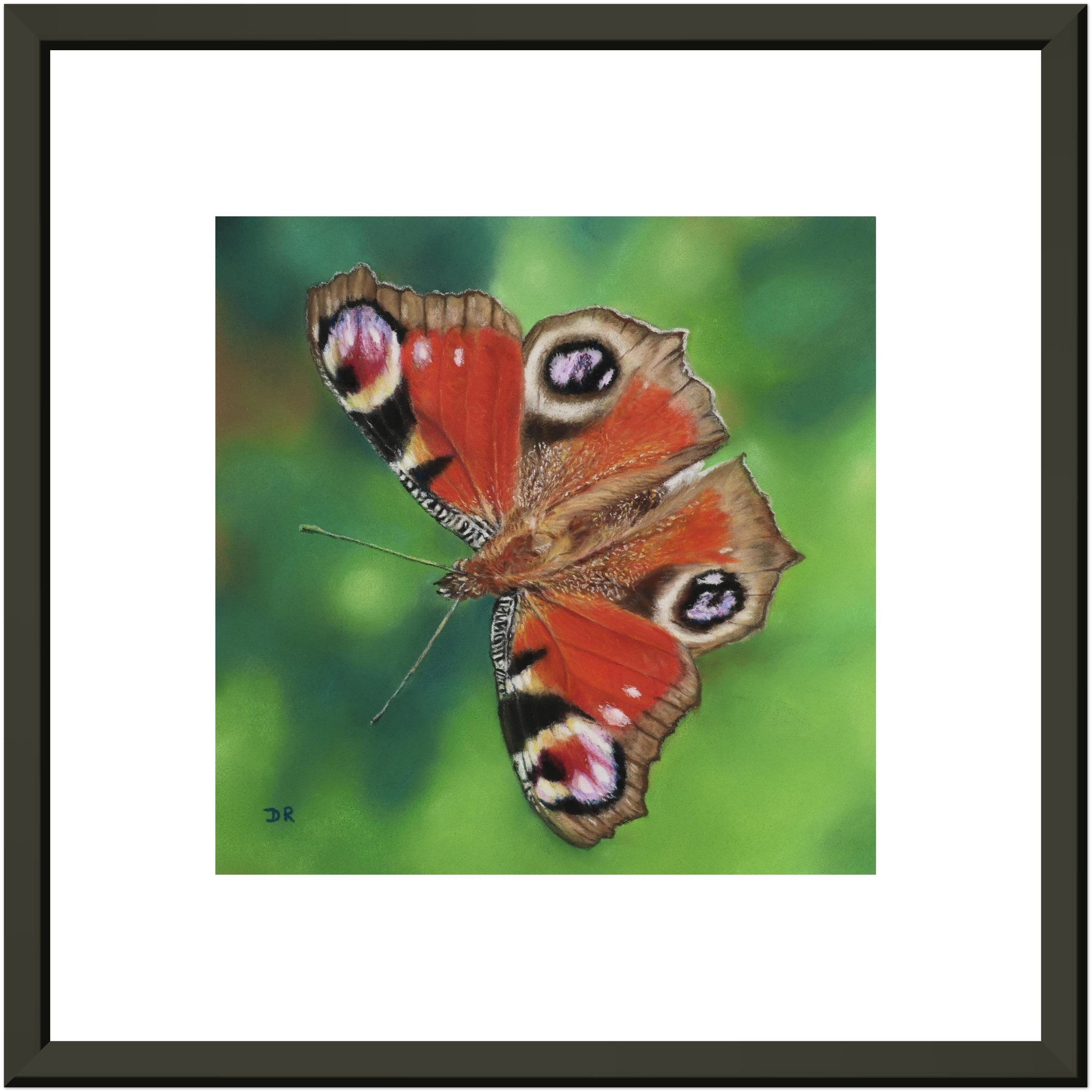 Peacock Butterfly / Le Mareynat - Fine Art Framed Poster